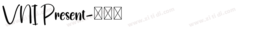 VNI Present字体转换